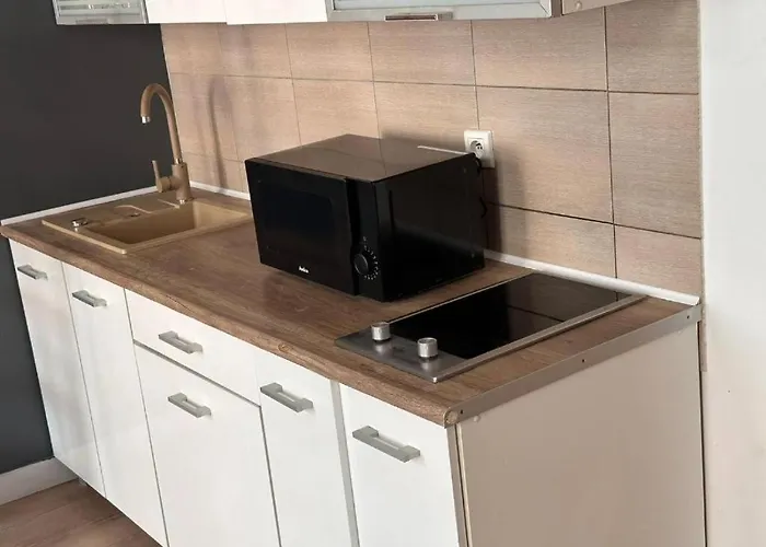 Apartment Golebia-genius *