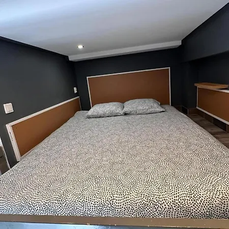 Golebia-genius Apartamento Poznan