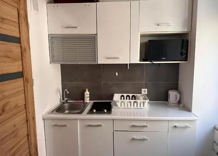 Apartment Golebia-genius *