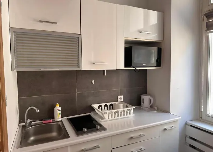 Golebia-genius Apartment Poznan